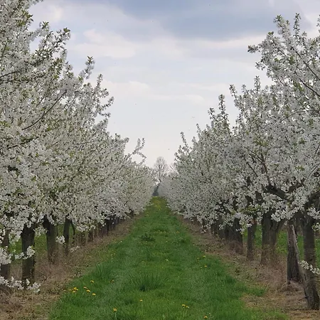 Appartement In Der *